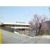 幼稚園、保育園