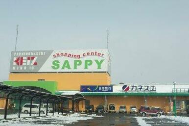 サピーショッピングセンター
