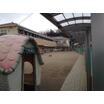 幼稚園、保育園