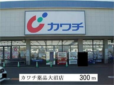 カワチ薬品大沼店