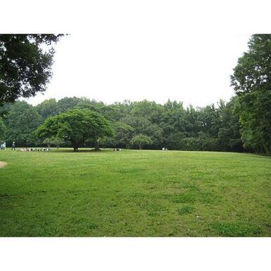 東高根森林公園