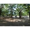 公園