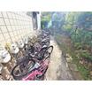 共有部分