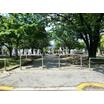 公園