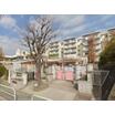 幼稚園、保育園