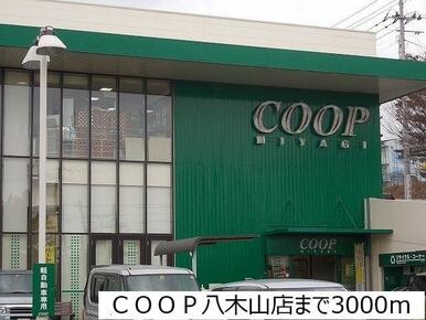 ＣＯＯＰ八木山店