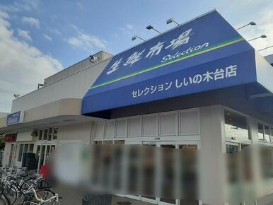 セレクションしいの木台店