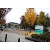 公園