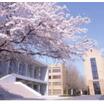 大学