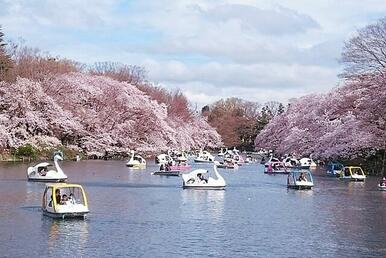 三角公園（井の頭恩賜公園内）