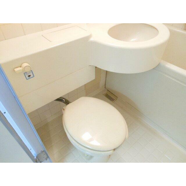 前回募集時の写真です。