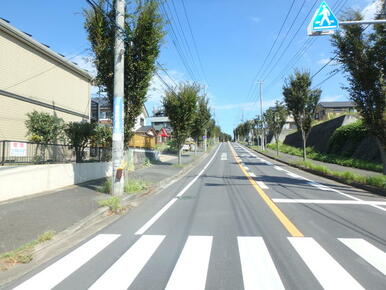 全面道路