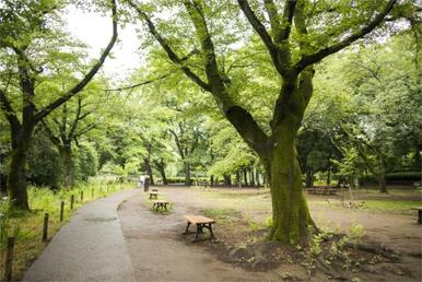 善福寺公園