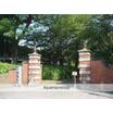 大学