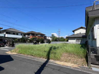 現地写真（南西側）