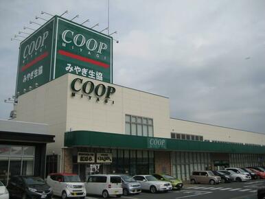 ＣＯＯＰ　ＭＩＹＡＧＩ蛇田店