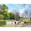 公園