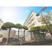 幼稚園、保育園