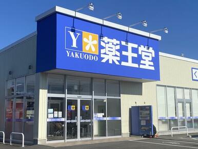 薬王堂登米迫店