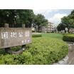 公園