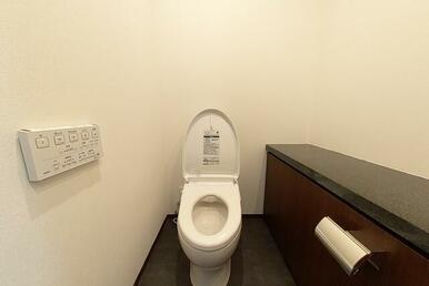 G2・N1タイプ2026年1月撮影 パノラマ画像から切り取ったものです