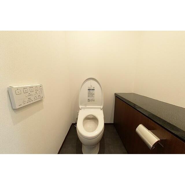 G2・N1タイプ2026年1月撮影 パノラマ画像から切り取ったものです