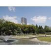 公園