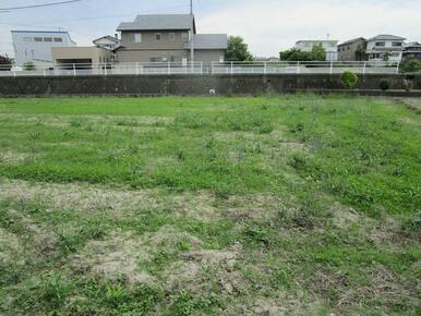 敷地北側から県道に向かって撮影。