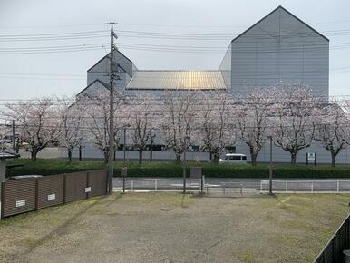 春にはバルコニーから扶桑文化会館の桜並木が綺麗に見えます！