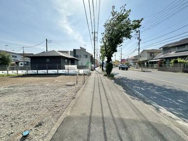 東側の歩道から撮影