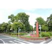公園