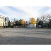 公園