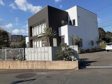 新鳥栖どうぶつ病院