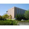 大学