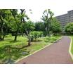 公園