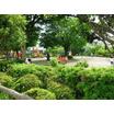 公園