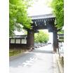大学