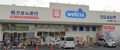 ウエルシア川口芝樋ノ爪店