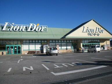 リオン・ドール高根沢東店