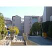 大学