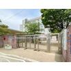 幼稚園、保育園