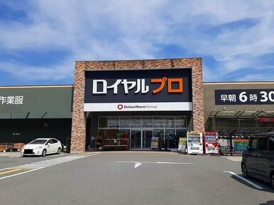 ロイヤルプロ 京都横大路