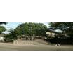 公園