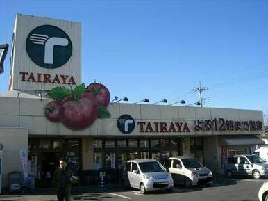 TAIRAYA野木店