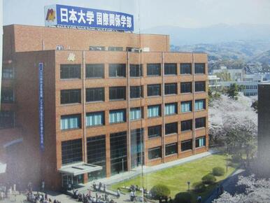私立日本大学国際関係学部