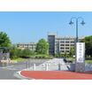 大学