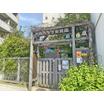 幼稚園、保育園