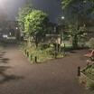 公園