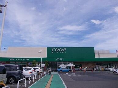 ＣＯＯＰ愛子店