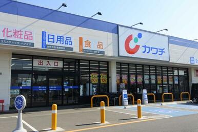 カワチ薬品横芝光店